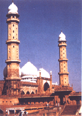 Taj UI Masjid